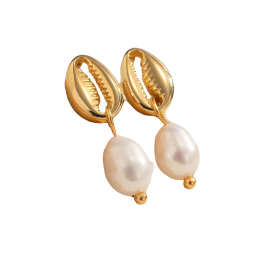 Cowrie Shell Studs