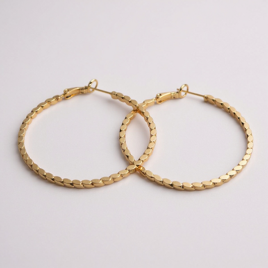 Disc Hoops